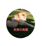 秋男と定春（個別スタンプ：2）