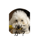 ぽく 出れない（個別スタンプ：2）