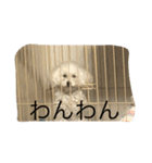 ぽく 出れない（個別スタンプ：7）