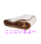 猫生活1（個別スタンプ：3）