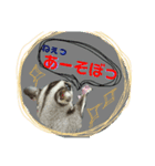 モモンガ（ふぅた）の日常1（個別スタンプ：2）