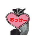 モモンガ（ふぅた）の日常1（個別スタンプ：3）