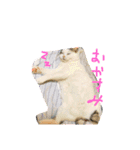 夢にゃんこ♪2（個別スタンプ：1）