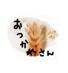 夢にゃんこ♪2（個別スタンプ：8）