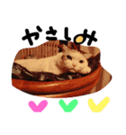 夢にゃんこ♪2（個別スタンプ：23）
