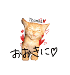 関西弁猫ちゃんズ。Ver2（個別スタンプ：6）