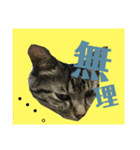 気分だにゃ（個別スタンプ：7）