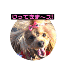 一姫二太郎2匹の愛犬❤スタンプ（個別スタンプ：18）