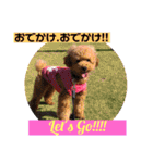一姫二太郎2匹の愛犬❤スタンプ（個別スタンプ：20）