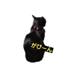 ネコやお（個別スタンプ：4）