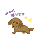 かわいい犬一家（個別スタンプ：7）