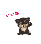 かわいい犬一家（個別スタンプ：9）
