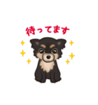 かわいい犬一家（個別スタンプ：10）