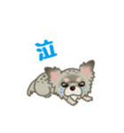 かわいい犬一家（個別スタンプ：11）