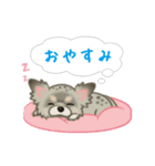 かわいい犬一家（個別スタンプ：12）