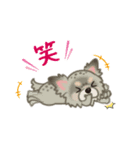 かわいい犬一家（個別スタンプ：13）