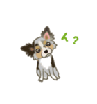 かわいい犬一家（個別スタンプ：14）