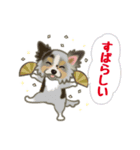 かわいい犬一家（個別スタンプ：16）