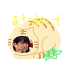 あおたまスタンプ（個別スタンプ：7）