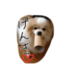 もふもふマロ（個別スタンプ：6）