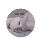 【ねこ食堂】＊おかずとおかゆ＊スタンプ（個別スタンプ：5）