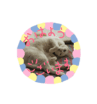 【ねこ食堂】＊おかずとおかゆ＊スタンプ（個別スタンプ：7）