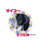 ねこで日常会話を.2（個別スタンプ：8）