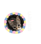 ふくふくぽめたん（個別スタンプ：3）