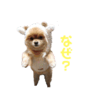 ふくふくぽめたん（個別スタンプ：24）