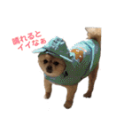ふくふくぽめたん（個別スタンプ：32）