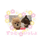 ふくふくぽめたん（個別スタンプ：38）