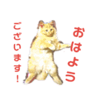 えむたんの日常（個別スタンプ：8）