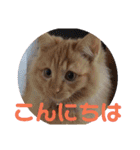 えむたんの日常（個別スタンプ：9）