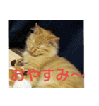 えむたんの日常（個別スタンプ：11）