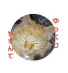 えむたんの日常（個別スタンプ：13）