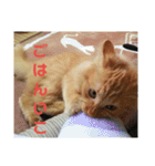 えむたんの日常（個別スタンプ：14）