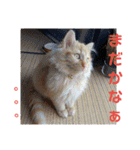 えむたんの日常（個別スタンプ：20）