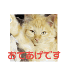えむたんの日常（個別スタンプ：26）