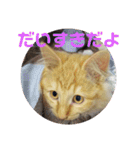 えむたんの日常（個別スタンプ：28）