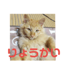 えむたんの日常（個別スタンプ：32）