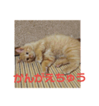 えむたんの日常（個別スタンプ：33）