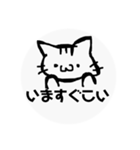 手書きツンネコちゃん☆（個別スタンプ：1）