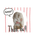 ふわふわねこにゃん♪おはよう❤️（個別スタンプ：2）