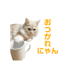 ふわふわねこにゃん♪おはよう❤️（個別スタンプ：9）