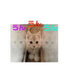 ふわふわねこにゃん♪おはよう❤️（個別スタンプ：14）