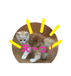 ふわふわねこにゃん♪おはよう❤️（個別スタンプ：17）