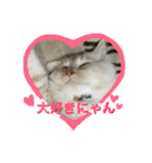 ふわふわねこにゃん♪おはよう❤️（個別スタンプ：19）