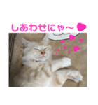 ふわふわねこにゃん♪おはよう❤️（個別スタンプ：20）