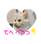 ふわふわねこにゃん♪おはよう❤️（個別スタンプ：25）