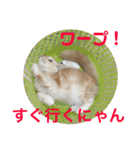 ふわふわねこにゃん♪おはよう❤️（個別スタンプ：28）